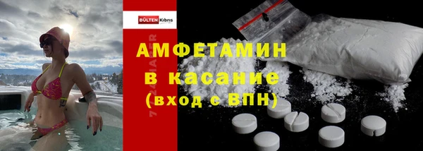 индика Аркадак