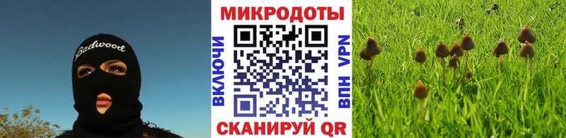 Псилоцибиновые грибы GOLDEN TEACHER  Мариинский Посад 